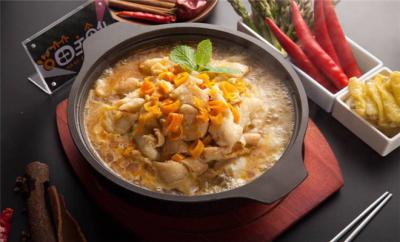 啵啵魚訓(xùn)練哪個好?環(huán)保綠色，健康衛(wèi)生