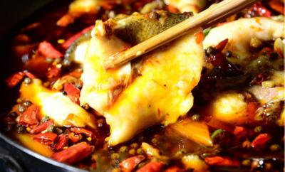 學(xué)做冷鍋魚技術(shù)培訓(xùn)哪里比較好？