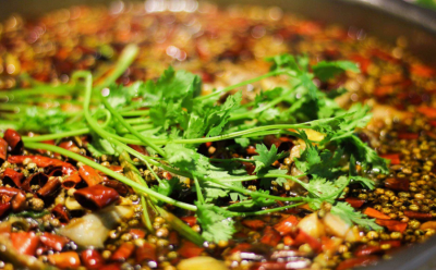 成都美蛙魚培訓(xùn)那家好？