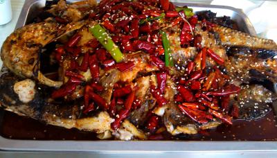 成都烤魚技術培訓學校排名,學習烤魚技術培訓學費？