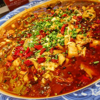 重慶來鳳魚培訓(xùn)學(xué)校哪家好？深度解析蜀味緣為何備受青睞